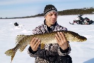 Pike can be found in the wilderness lakes of Muotkatunturit Hills. Inari. (Jari Tuiskunen)