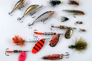 Ide lures. Plugs from left to right: Rapala Mini Fat Rap, Salmo Hornet and Rapala CountDown.... (Jari Tuiskunen)