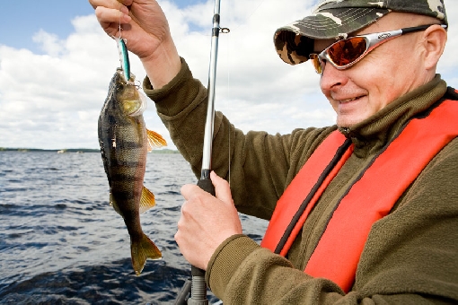 In summer, perch move around the surface waters in mid-lake areas, where good catches are made by trolling.