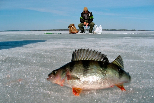 Late winter is the best ice-fishing season.