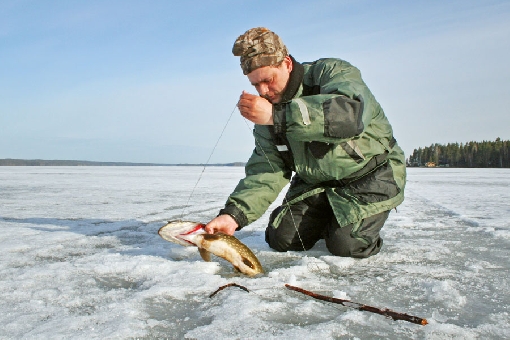 In winter, pike hooks are set at the edges of deeps a couple of metres below the ice. Lake Toisvesi, Virrat.