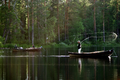 In the special fishing site of Kattilakoski Rapids in Ruunaa, anglers can rent the entire fishing grounds.