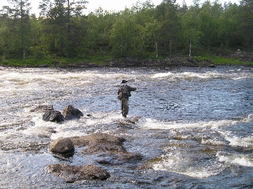 River Juutua is a splendid place for fly fishing.