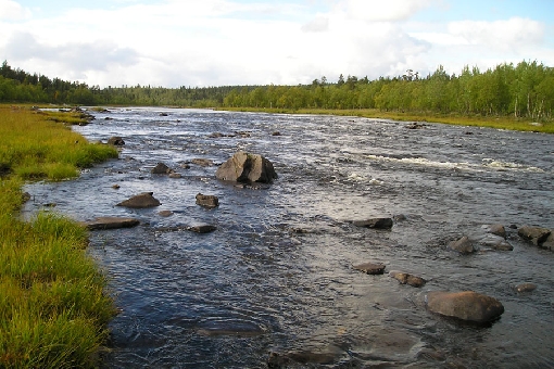 Typical scenery on the upper reaches of River Ivalojoki.