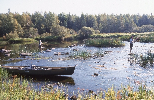 By canoe you can also reach remote places of River Kiiminkijoki where there are only few other anglers.