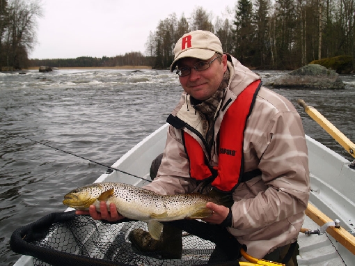 The Hannulankoski Rapids is the realm of big trout. Wild fish with adipose fins must be released here.