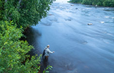 The Keihärinkoski Rapids flows leisurely with a strong scent of trout.