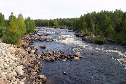 Part of River Raudanjoki, the Vikaköngäs Rapids is a popular ‘plant and fish’ site to the north of Rovaniemi.