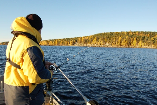 Porttisalmi Sound, starting at Iso Paatsalo Island, joins the Simpiänselkä and Karttuunselkä mid-lake areas.