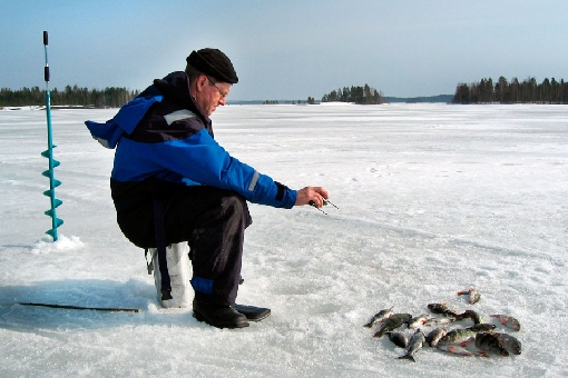 A good catch depth for perch and whitefish in the Kuussaarenselkä mid-lake area of Lake Höytiäinen is 12 to 13 metres.