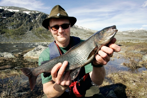 In Mountain Lapland, good grayling spots are often located around the tree line.