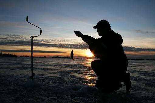 In winter, you can find perch in shallow waters off Merikarvia.