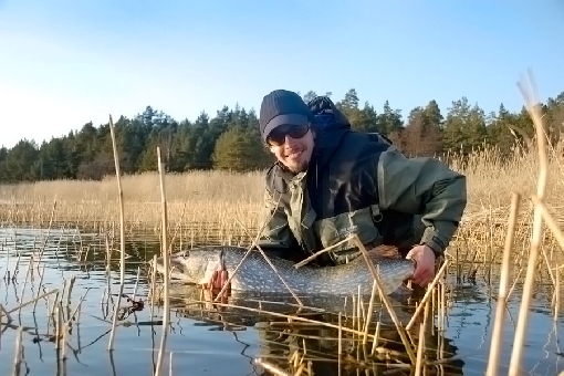 The most funniest way to catch pike is fish from shallow waters.