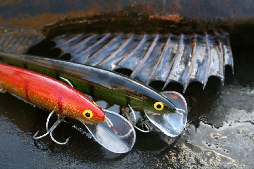 Plugs are the most popular zander lures for trolling.