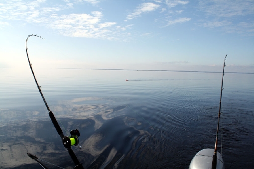 Trolling for brown trout on Lake Inari.
