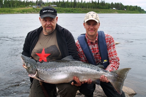 Heavy salmon run on River Tornionjoki
