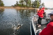 Lake Suur-Saimaa ('Saimaa Major'), Savitaipale. (Tapio Gustafsson)