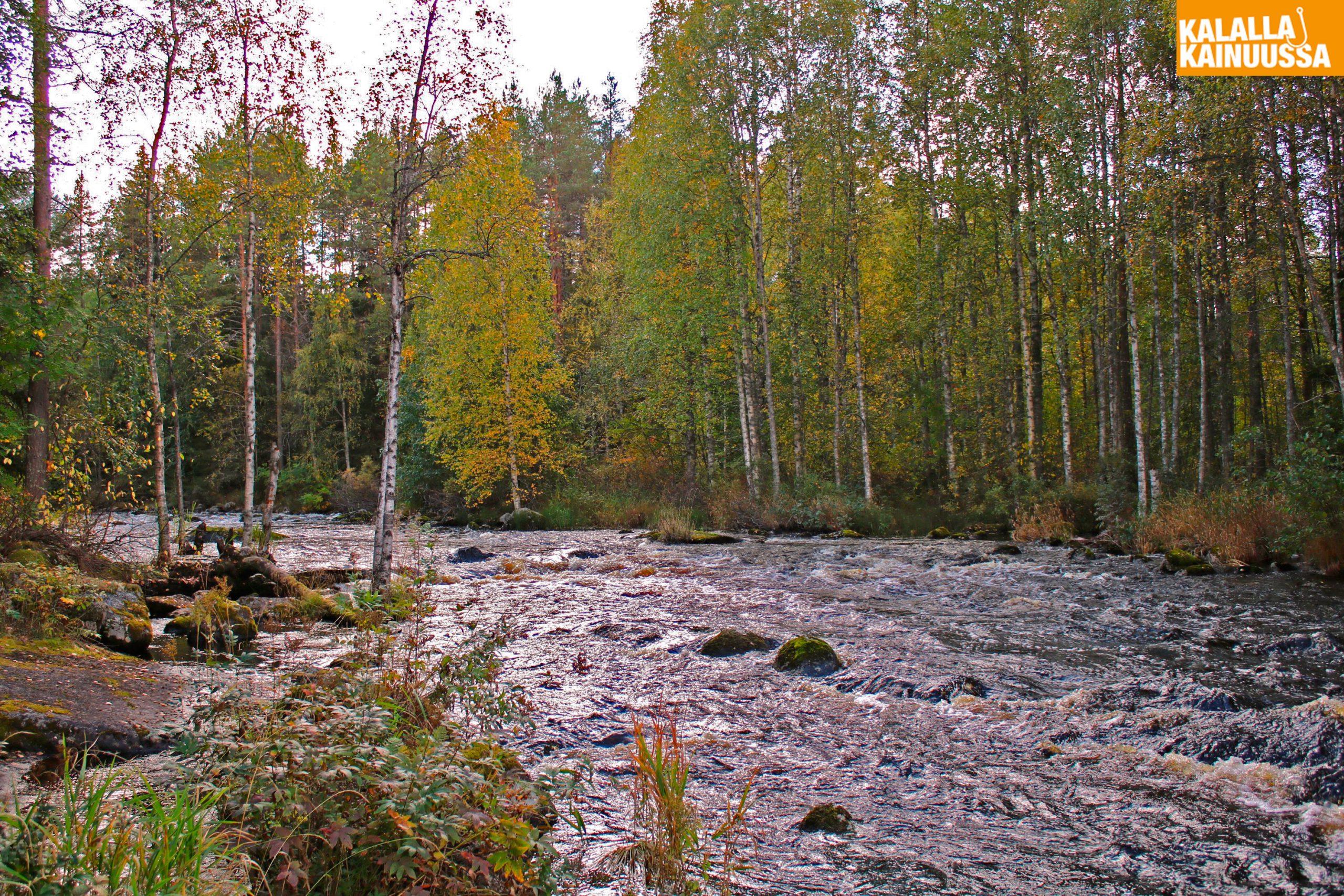Luvankoski2_kainuu